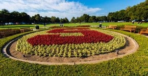 Foto: (iStock)