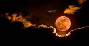 Foto: (istock)