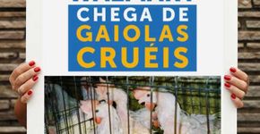Ativistas entregam ao Walmart petição contra crueldade a animais