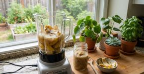 Liquidificar casca de banana e água: uma mistura simples que pode cumprir uma enorme função no cuidado com as plantas