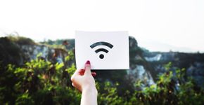Um estudo confirma que o Wi-Fi dos celulares causa danos irreparáveis em pessoas e seres vivos