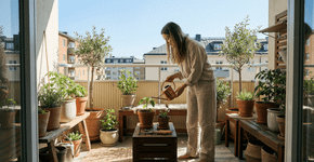 O que as pessoas que cuidam de plantas tem de especial? A qualidade rara de quem ama seu jardim