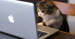 115 cursos gratuitos para você  turbinar seu currículo