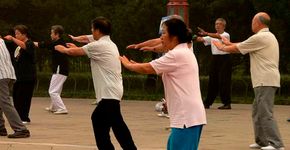 Tai Chi Chuan no Parque Burle Marx