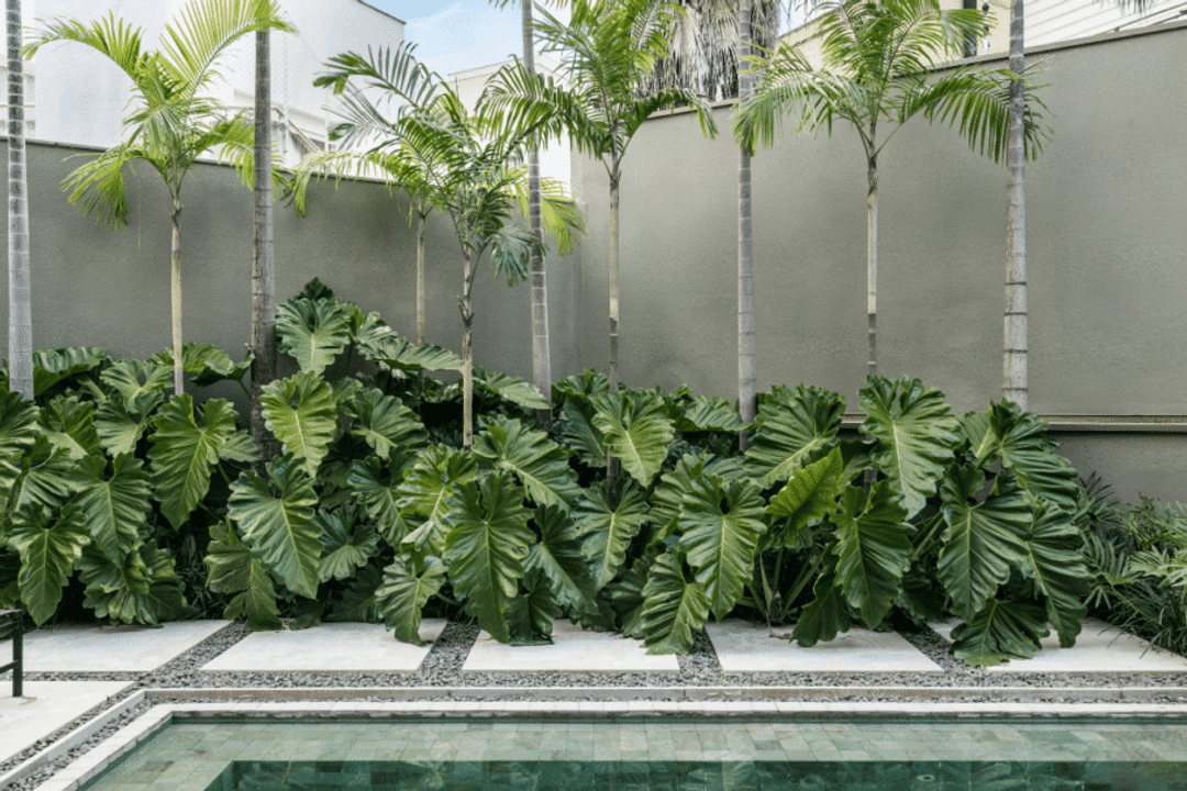 A combinação de diferentes alturas e texturas ajuda a criar profundidade e equilíbrio visual no jardim (Imagem: Divulgação | Projeto: Alexandre Galhego Paisagismo)