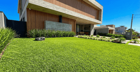 Uma grama ideal para o seu jardim que não exige corte frequente, suporta o sol forte e não amarela no inverno