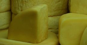 Descobrindo o famoso queijo da Serra da Canastra