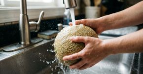 Descascar o melão sem lavar a casca parece não fazer diferença porque ela será descartada, mas nos Estados Unidos a orientação é lavar a fruta antes do corte para evitar que sujeira e bactérias sejam levadas da superfície para a polpa