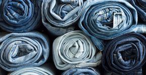 Foto: (Mykola Komarovskyy/Shutterstock)