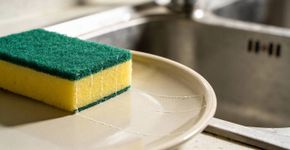 Descobri isso hoje! As esponjas verdes e amarelas não são adequadas para lavar louça. Aqui está a explicação de qual cor serve para cada coisa
