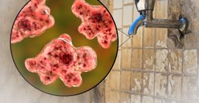 Foto: (Dr_Microbe/istock)