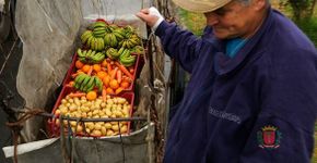 Curitiba troca lixo reciclável por frutas e verduras