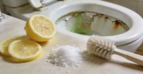 O truque simples para limpar o banheiro sem esforço que está a fazer sucesso entre as especialistas em limpeza