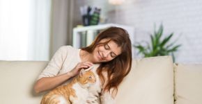 6 cuidados essenciais com gatos idosos