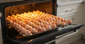 Ovos cozidos no forno viraram tendência. O método é mais prático e acerta o ponto sem bagunça