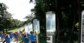 Exposição sobre o problema da água no Sesc Interlagos