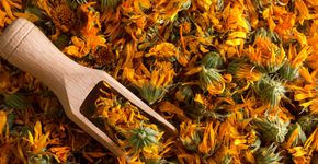 Foto: (iStock/ Elena Neveditsyna)