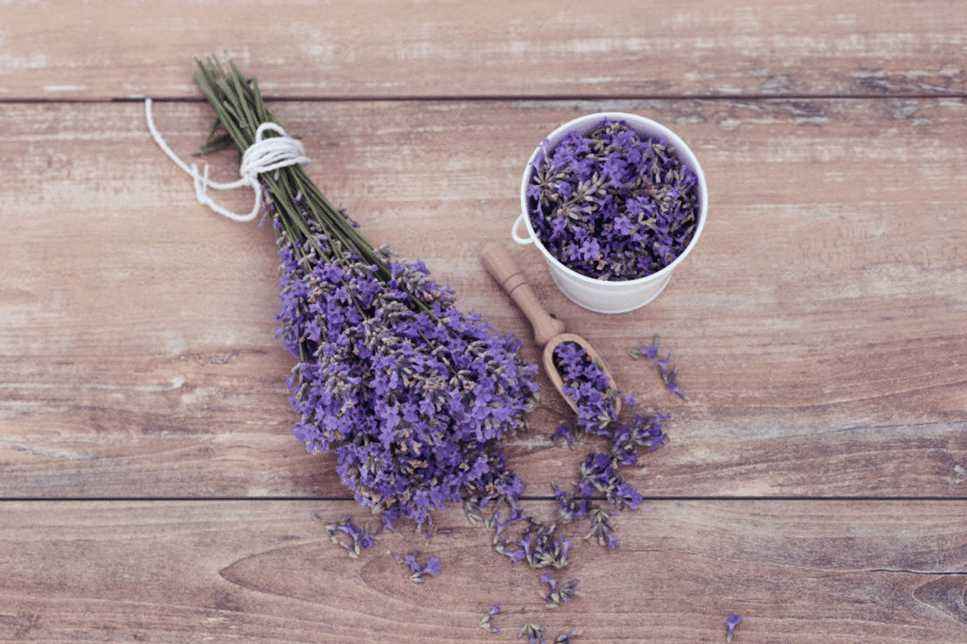 A lavanda simboliza tranquilidade e busca por momentos de paz interior (Imagem: Flaviya | Shutterstock)