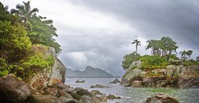 Foto: (Divulgação/PMP)
