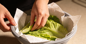 O truque do papel toalha que faz a salada durar 15 dias