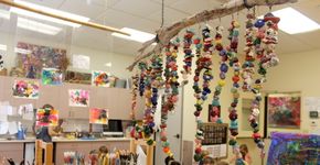 Foto: (Saint Anne\'s Day School)