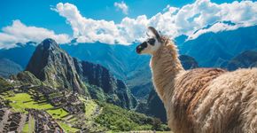 Foto: (Divulgação/PROMPERÚ)