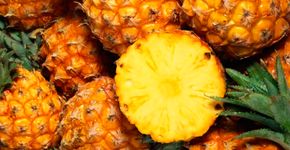 Alimentos que desintoxicam o corpo e melhoram a saúde
