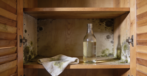 Vinagre de álcool ou água sanitária qual remove melhor o mofo do guarda-roupa