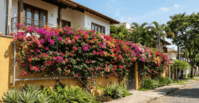 Três plantas trepadeiras que precisam de poucos cuidados e são perfeitas para cobrir paredes e muros com sombra