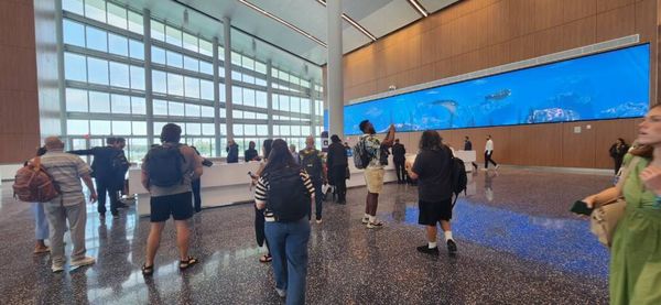 O novo terminal da MSC Cruzeiros é amplo e com áreas com luz natural
