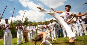 Foto: (Willbrasil21/ iStock)