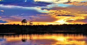 Foto: (Stefan Aernic/Divulgação/Juma Amazon Lodge)