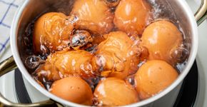 Foto: (orinoco-art/istock)