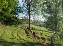 Featured side: Fazenda em Pardinho (SP) oferece roteiro de experiências