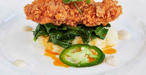 Filé de frango é produzido sem sacrificar a ave