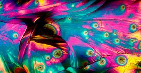 Cientista fotografa bebidas alcoólicas vistas no microscópio