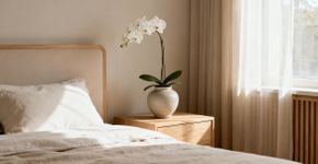Não é só decoração veja para que realmente serve colocar orquídeas no quarto