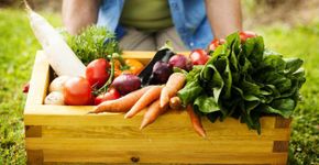 Feira agroecológica leva hortaliças e frutas orgânicas ao Sesc