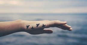 Foto: (iStock | kaisersosa67)