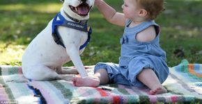 Menina que nasceu sem o braço ganha cachorro com três patas para enfrentar preconceito