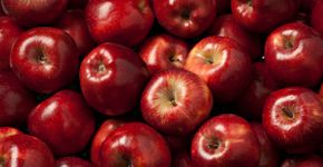 Foto: (combomambo/istock)