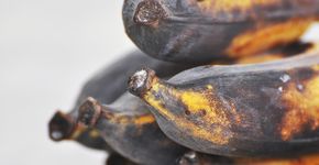10 dicas para evitar o desperdício de alimentos