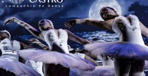 Teatro de Dança apresenta “Cisnes”