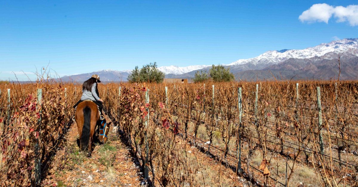 Mendoza, na Argentina, tem hotéis até 20% mais baratos brasileiros