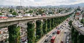 Cidade do México plantou milhares de plantas nos pilares de uma rodovia para combater poluição e calor, transformando o concreto em jardins verticais