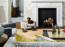 Featured side: Hotel em Londres transforma estadia de cães em parte da experiência de quem viaja com pet