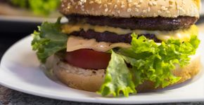 Foto: (Bruno/ Pixabay)