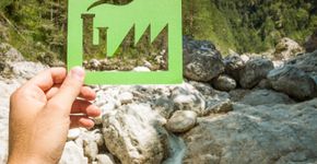 Cursos gratuitos para quem quer cuidar do meio ambiente