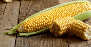 8 motivos para incluir o milho na alimentação