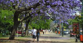 Preços incríveis para curtir a primavera em Buenos Aires